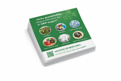 Website   Flyers 1440 x 960 px 4